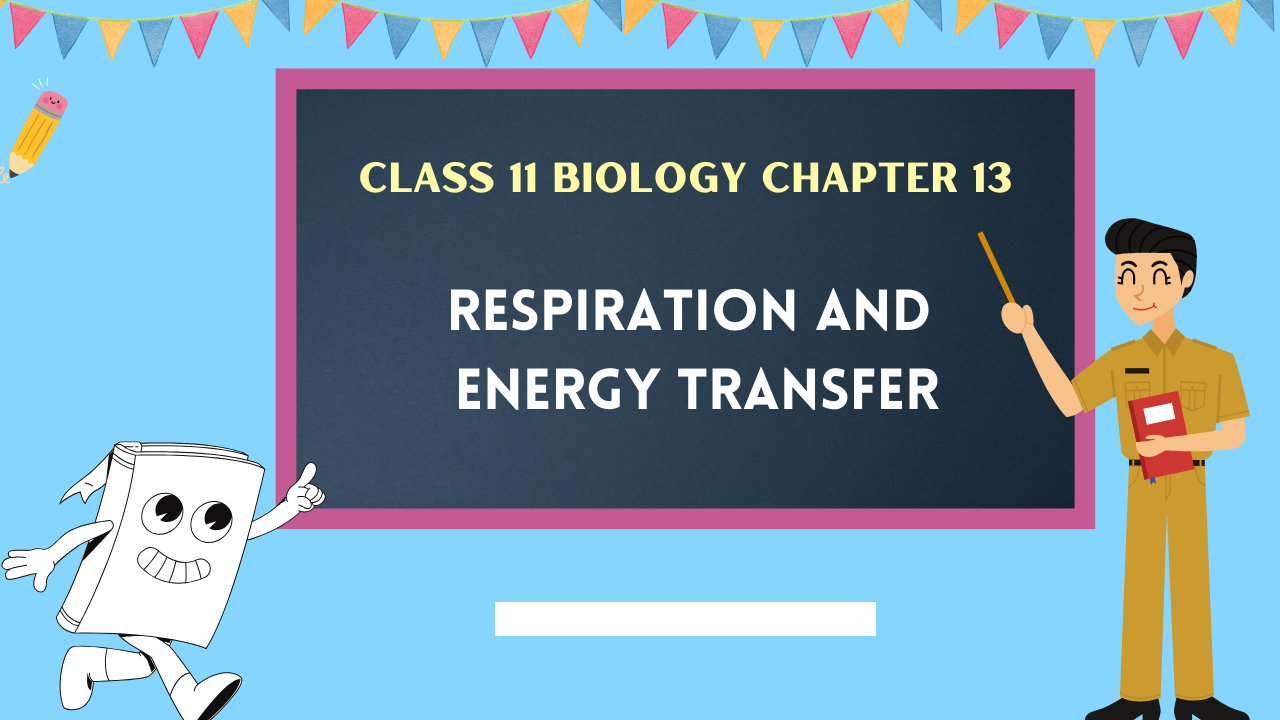 Class-11-Biology-Chapter-13
