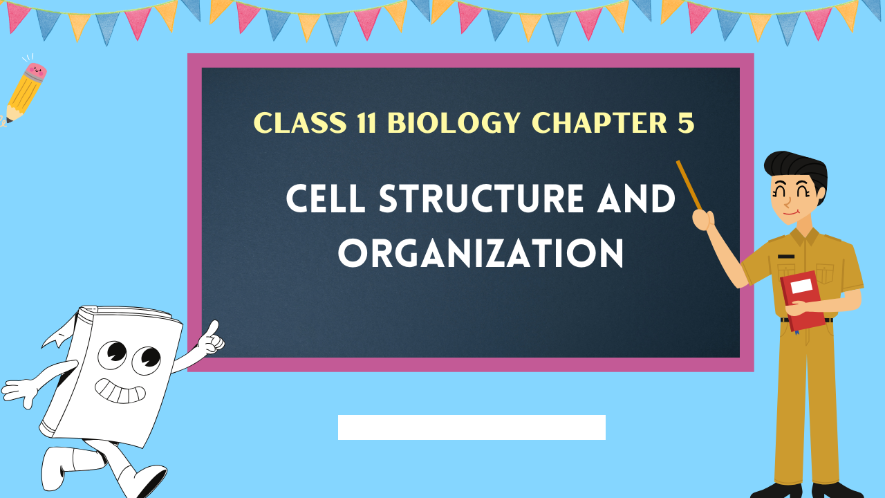 Class-11-Biology-Chapter-5