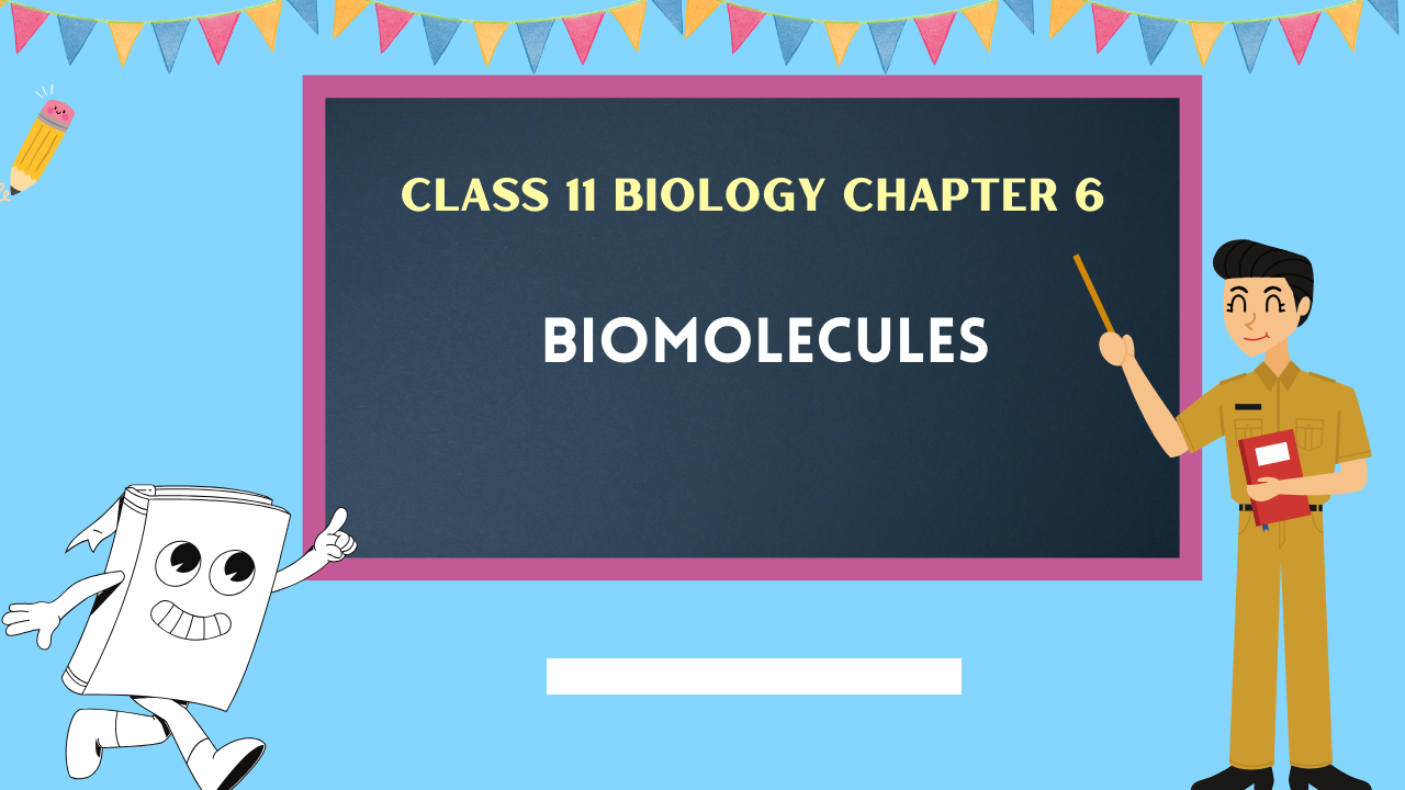 Class-11-Biology-Chapter-6