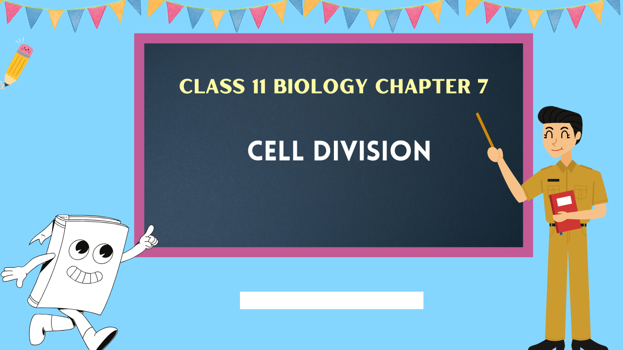 Class-11-Biology-Chapter-7