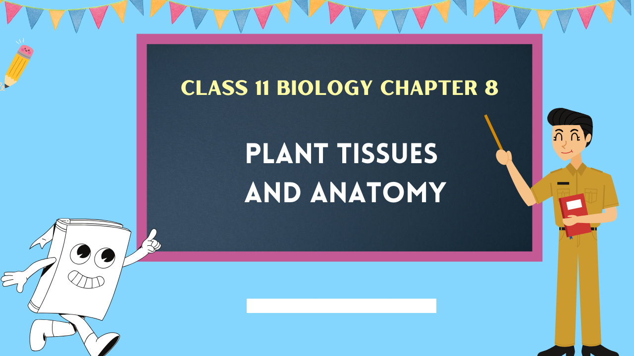 Class-11-Biology-Chapter-8
