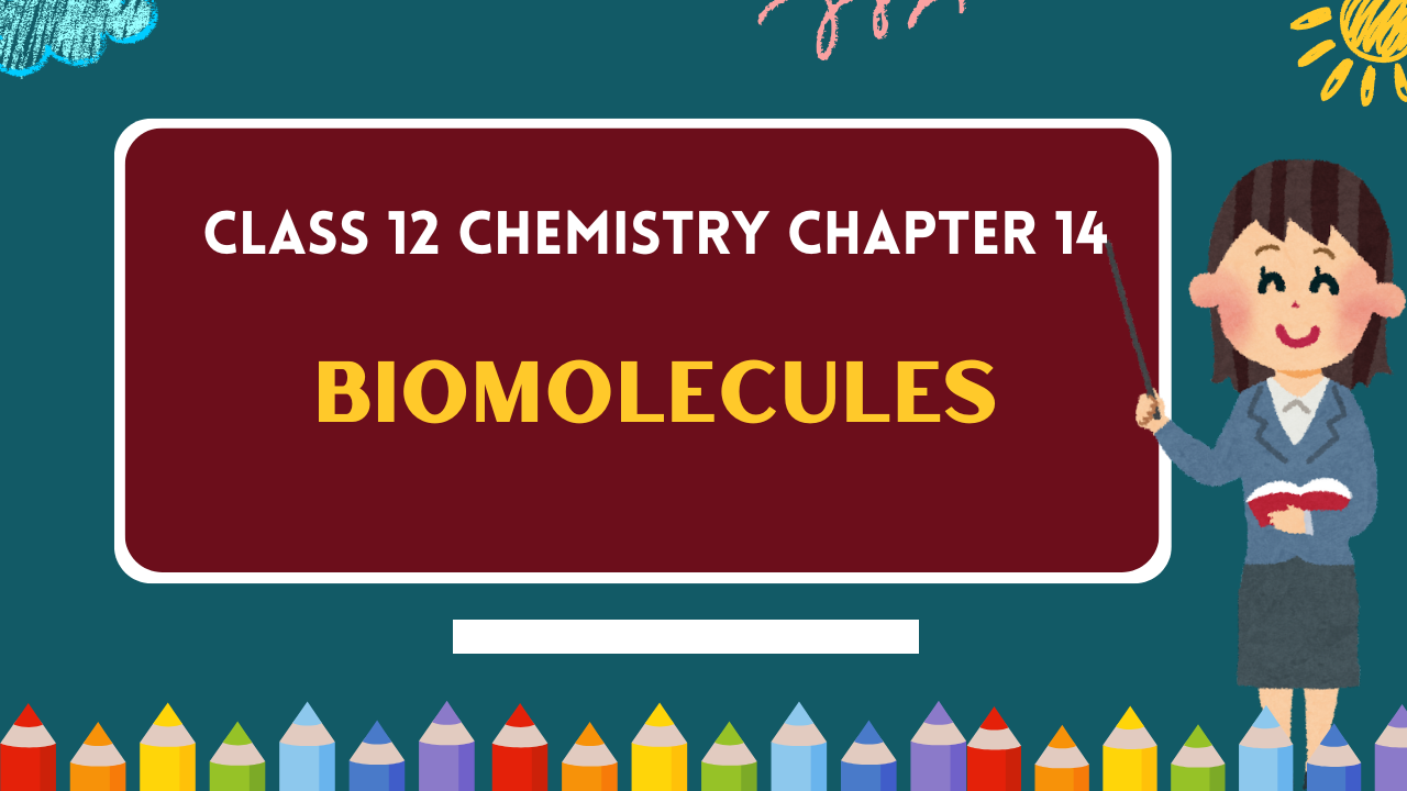 Class-12-Chemistry-Chapter-14