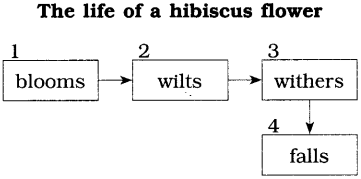 Maharashtra-Board-Class-10-English-Solutions-Unit-1.6-The-Alchemy-of-Nature-1