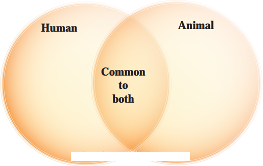 Maharashtra-Board-Class-10-English-Solutions-Unit-2.1-Animals-1