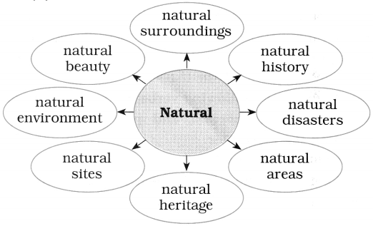 Maharashtra-Board-Class-10-English-Solutions-Unit-4.3-World-Heritage-7