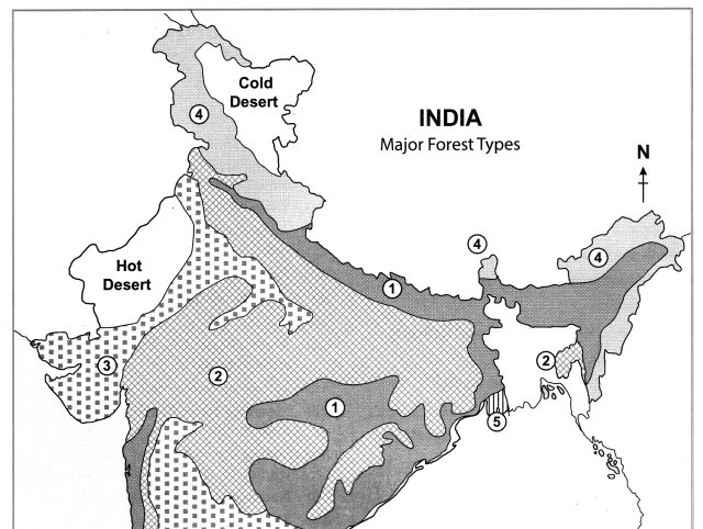 Maharashtra-Board-Class-10-Geography-Solutions-Chapter-5-Natural-Vegetation-and-Wildlife-13