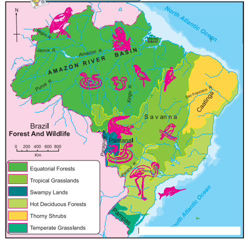 Maharashtra-Board-Class-10-Geography-Solutions-Chapter-5-Natural-Vegetation-and-Wildlife-7