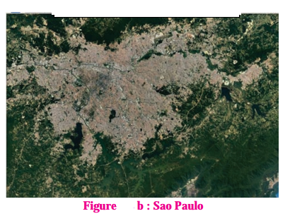 Maharashtra-Board-Class-10-Geography-Solutions-Chapter-7-Human-Settlements-10