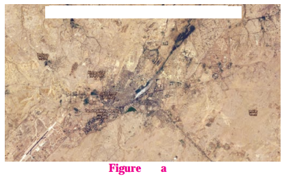 Maharashtra-Board-Class-10-Geography-Solutions-Chapter-7-Human-Settlements-11