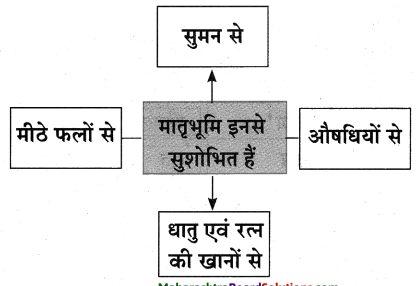 Maharashtra-Board-Class-10-Hindi-Lokvani-Solutions-Chapter-1-मातृभूमि-9