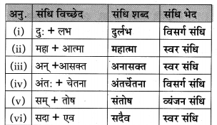 Maharashtra-Board-Class-10-Hindi-Lokvani-Solutions-Chapter-5-अनोखे-राष्ट्रपति-13