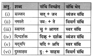 Maharashtra-Board-Class-10-Hindi-Lokvani-Solutions-Chapter-5-अनोखे-राष्ट्रपति-15
