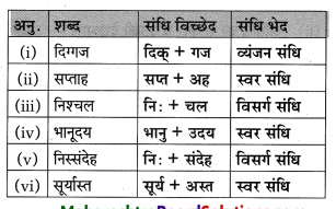 Maharashtra-Board-Class-10-Hindi-Lokvani-Solutions-Chapter-5-अनोखे-राष्ट्रपति-17