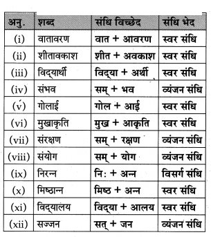 Maharashtra-Board-Class-10-Hindi-Lokvani-Solutions-Chapter-5-अनोखे-राष्ट्रपति-18