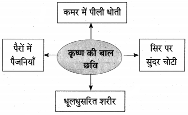 Maharashtra-Board-Class-10-Hindi-Lokvani-Solutions-Chapter-6-अति-सोहत-स्याम-जू-10
