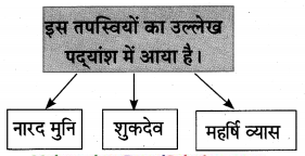 Maharashtra-Board-Class-10-Hindi-Lokvani-Solutions-Chapter-6-अति-सोहत-स्याम-जू-13