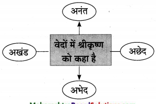 Maharashtra-Board-Class-10-Hindi-Lokvani-Solutions-Chapter-6-अति-सोहत-स्याम-जू-2