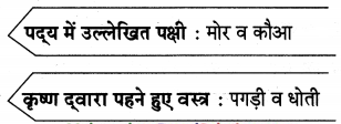 Maharashtra-Board-Class-10-Hindi-Lokvani-Solutions-Chapter-6-अति-सोहत-स्याम-जू-6