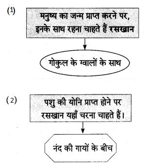 Maharashtra-Board-Class-10-Hindi-Lokvani-Solutions-Chapter-6-अति-सोहत-स्याम-जू-9