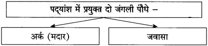Maharashtra-Board-Class-10-Hindi-Solutions-Chapter-1-बरषहिं-जलद-15