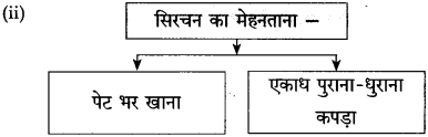 Maharashtra-Board-Class-10-Hindi-Solutions-Chapter-10-ठेस-12