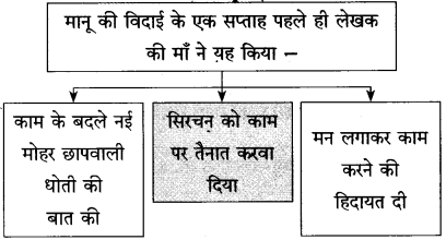 Maharashtra-Board-Class-10-Hindi-Solutions-Chapter-10-ठेस-17
