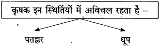 Maharashtra-Board-Class-10-Hindi-Solutions-Chapter-11-कृषक-गान-6