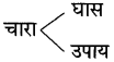 Maharashtra-Board-Class-10-Hindi-Solutions-Chapter-2-लक्ष्मी-40