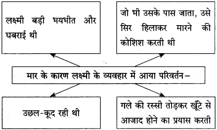 Maharashtra-Board-Class-10-Hindi-Solutions-Chapter-2-लक्ष्मी-7
