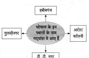 Maharashtra-Board-Class-10-Hindi-Solutions-Chapter-3-सफर-का-साथी-और-सिरदर्द-15