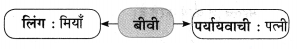 Maharashtra-Board-Class-10-Hindi-Solutions-Chapter-3-सफर-का-साथी-और-सिरदर्द-16