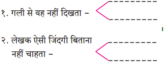 Maharashtra-Board-Class-10-Hindi-Solutions-Chapter-7-खुला-आकाश-2