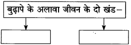 Maharashtra-Board-Class-10-Hindi-Solutions-Chapter-7-खुला-आकाश-25