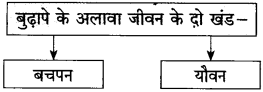 Maharashtra-Board-Class-10-Hindi-Solutions-Chapter-7-खुला-आकाश-28