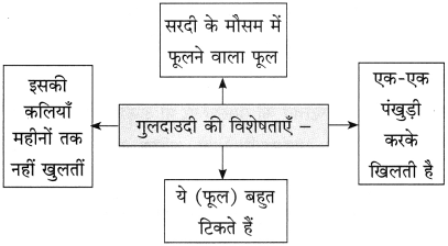 Maharashtra-Board-Class-10-Hindi-Solutions-Chapter-7-महिला-आश्रम-12