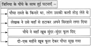Maharashtra-Board-Class-10-Hindi-Solutions-Chapter-7-महिला-आश्रम-15