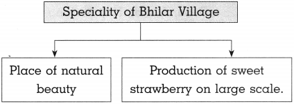Maharashtra-Board-Class-10-History-Solutions-Chapter-8-Tourism-and-History-4