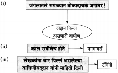 Maharashtra-Board-Class-10-Marathi-Aksharbharati-Solutions-Chapter-11-जंगल-डायरी-4