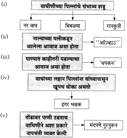 Maharashtra-Board-Class-10-Marathi-Aksharbharati-Solutions-Chapter-11-जंगल-डायरी-5