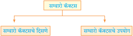 Maharashtra-Board-Class-10-Marathi-Aksharbharati-Solutions-Chapter-Chapter-12-रंग-मजेचे-रंग-उदयाचे-7