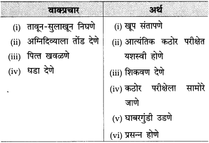 Maharashtra-Board-Class-10-Marathi-Solutions-Chapter-11-गोष्ट-अरुणिमाची-14