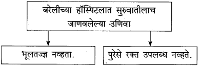 Maharashtra-Board-Class-10-Marathi-Solutions-Chapter-11-गोष्ट-अरुणिमाची-9