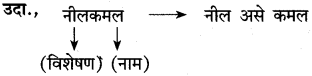 Maharashtra-Board-Class-10-Marathi-Solutions-Chapter-16-आकाशी-झेप-घे-रे-3