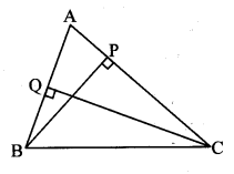 Maharashtra-Board-Class-10-Maths-Solutions-Chapter-1-Similarity-Practice-Set-1.3-10