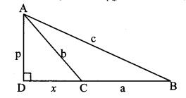 Maharashtra-Board-Class-10-Maths-Solutions-Chapter-2-Pythagoras-Theorem-Practice-Set-2.2-10