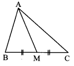Maharashtra-Board-Class-10-Maths-Solutions-Chapter-2-Pythagoras-Theorem-Practice-Set-2.2-6