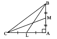 Maharashtra-Board-Class-10-Maths-Solutions-Chapter-2-Pythagoras-Theorem-Problem-Set-2-10