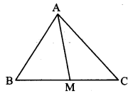 Maharashtra-Board-Class-10-Maths-Solutions-Chapter-2-Pythagoras-Theorem-Problem-Set-2-16