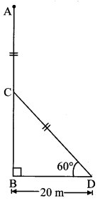 Maharashtra-Board-Class-10-Maths-Solutions-Chapter-6-Trigonometry-Practice-Set-6.2-6