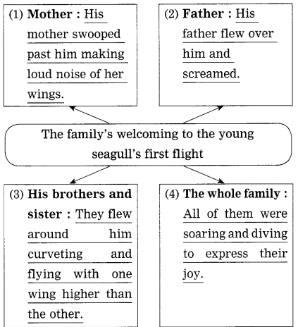 Maharashtra-Board-Class-10-My-English-Coursebook-Solutions-Chapter-1.5-His-First-Flight-11